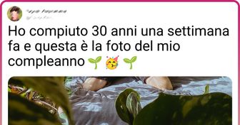 20 persone che sono partite con una pianta e sono arrivate a creare la loro piccola giungla in casa