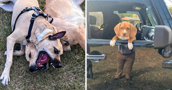 17 foto strane che ti confonderanno il cervello