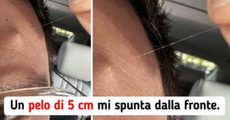 13 foto che dimostrano che non abbiamo visto tutte le possibili stranezze di questo mondo