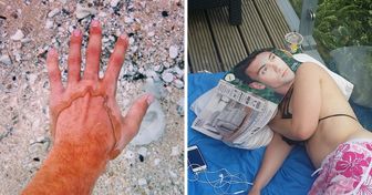 15 foto fatte nel miglior momento possibile