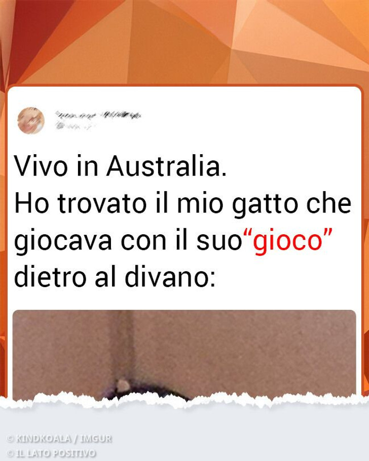 20+ persone che volevano una vacanza da sogno, ma qualcosa è andato storto
