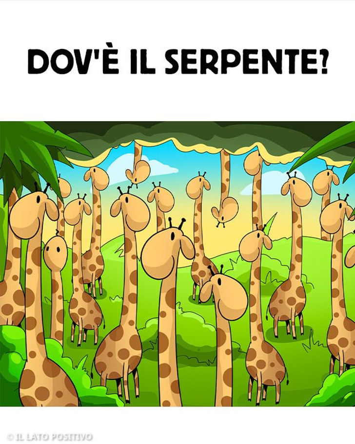 5 immagini che possono farti arrovellare il cervello mentre cerchi le differenze