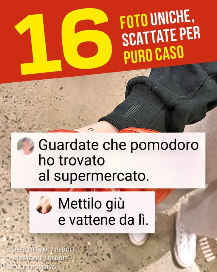 16 foto uniche, scattate per puro caso