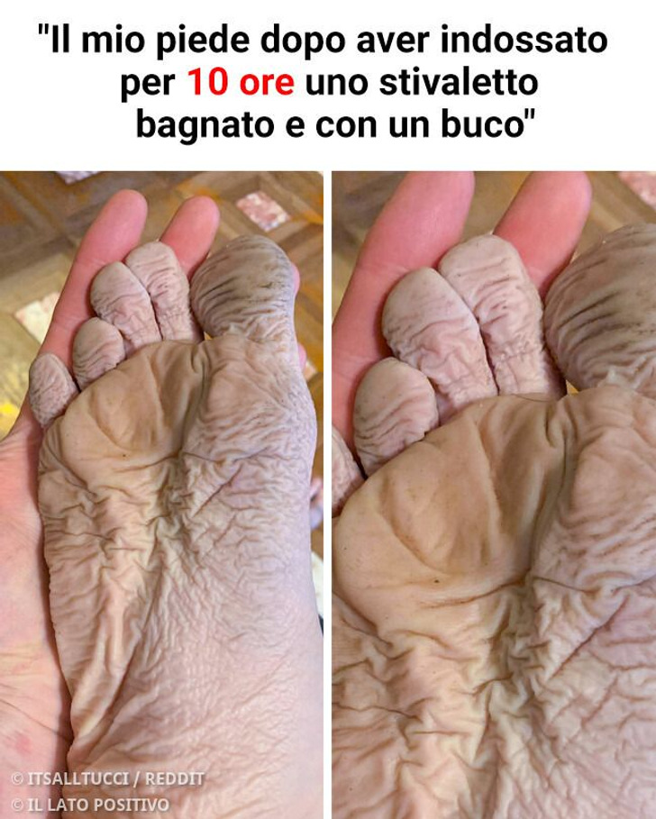 20 persone che viaggerebbero nel tempo per ricominciare da capo queste terribili giornate