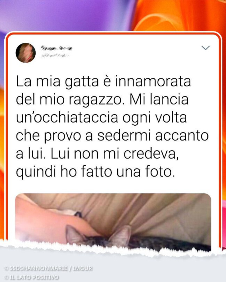 20 palle di pelo a cui non importa delle buone maniere