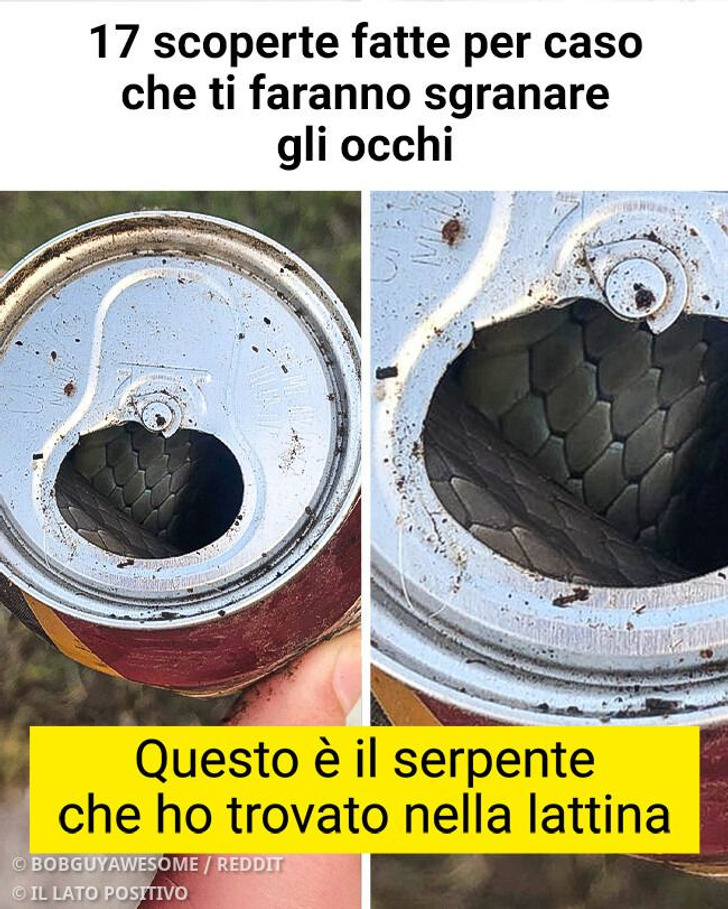 17 scoperte fatte per caso che ti faranno sgranare gli occhi