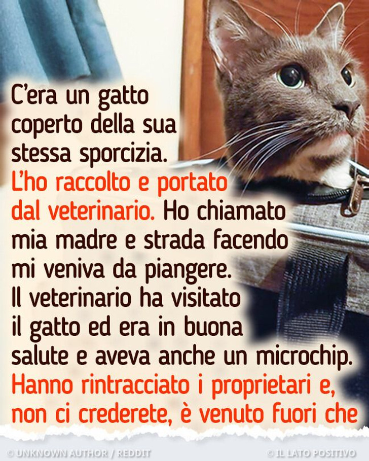 13 storie che ti faranno credere di nuovo ai miracoli di Natale