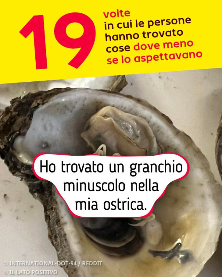 19 volte in cui le persone hanno trovato cose dove meno se lo aspettavano