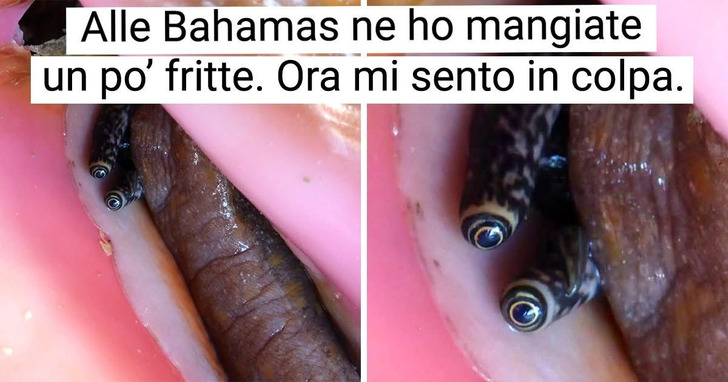 18 persone le cui vite non saranno più le stesse dopo le vacanze