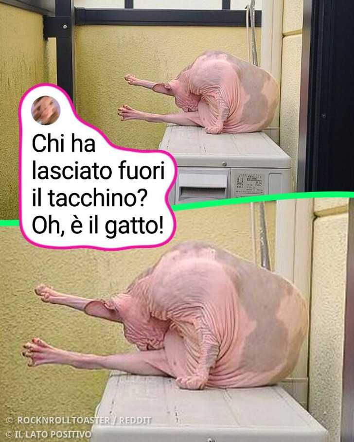 15+ immagini impressionanti che inganneranno i tuoi occhi
