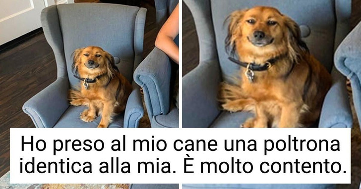 13 foto che ti scalderanno il cuore