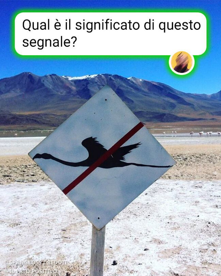 15 scoperte sconcertanti fatte su Internet e spiegate dagli esperti