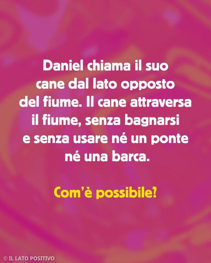 14 indovinelli difficili da decifrare che possono mettere alla prova la tua intelligenza