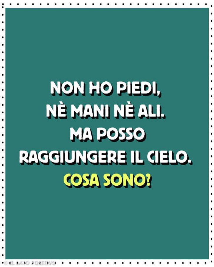 12 indovinelli per bambini “Cosa sono?” che possono mettere alla prova anche gli adulti